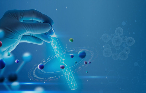 Conference Recommendation: NMCPT 2026